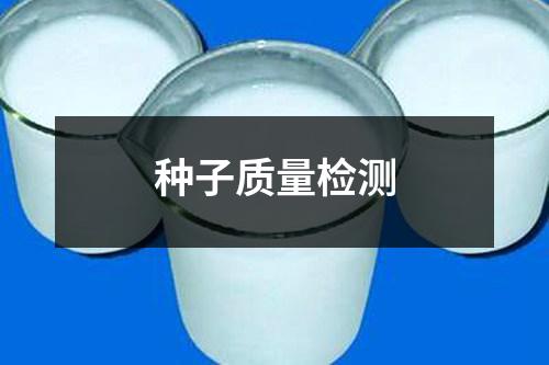 种子质量检测 